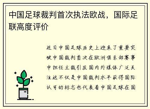 中国足球裁判首次执法欧战，国际足联高度评价